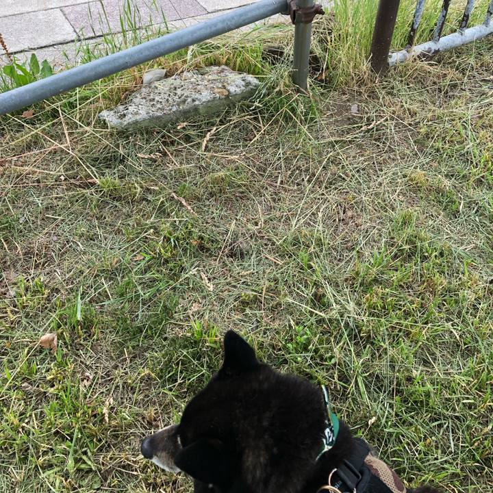 4b8bde8d a10b 4059 8dd4 65f59af05119 1561584737670