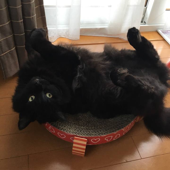 4b8be3ce b946 4f01 9627 ffbcb899b126 1530666394263