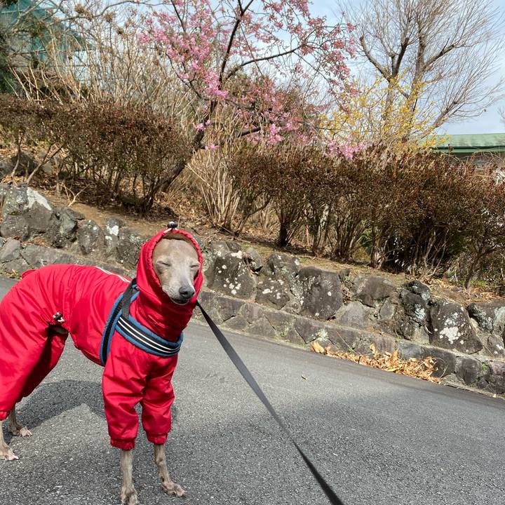 4b8c168a cd2b 4cb0 9b1c 01128e6f1226 1768972655269