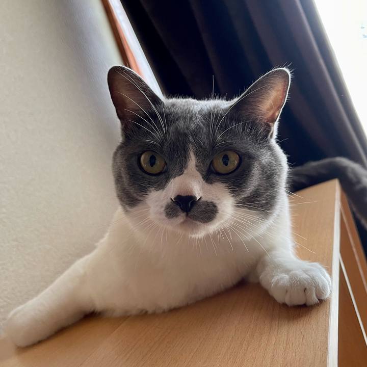 4b8c251f 29e9 4090 a49e dec08316620a 1663282491173