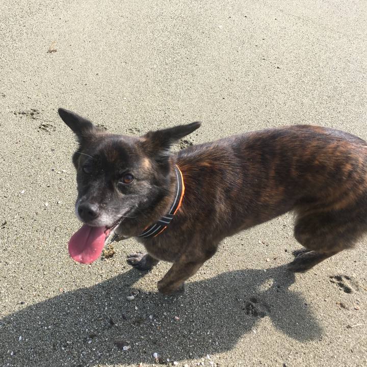 4b8c5279 6c89 4967 9a13 3448104d1a71 1530282498540