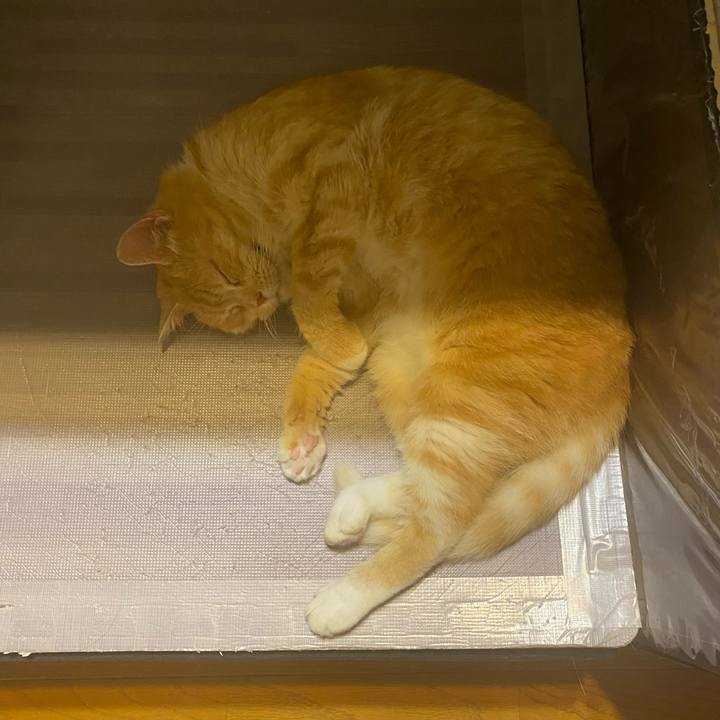 4b8c59d3 05c6 4f30 9a33 b415d9855447 1623094258290