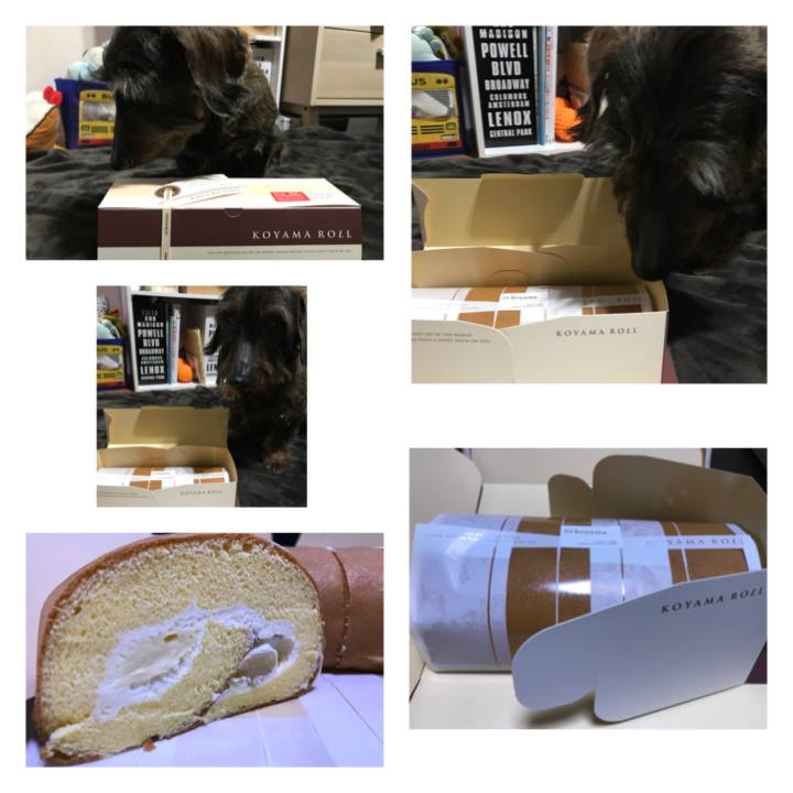 4b8c60fe bc2b 478b 805c 49194be30eba 1522160425325