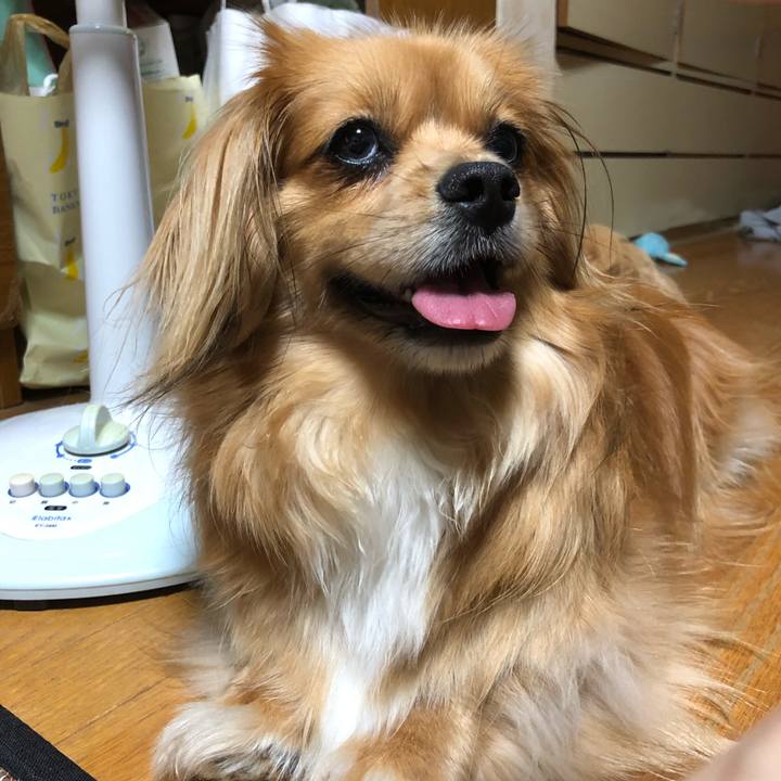 4b8c92c8 ac4e 47ec a632 2884846709fb 1560693036186