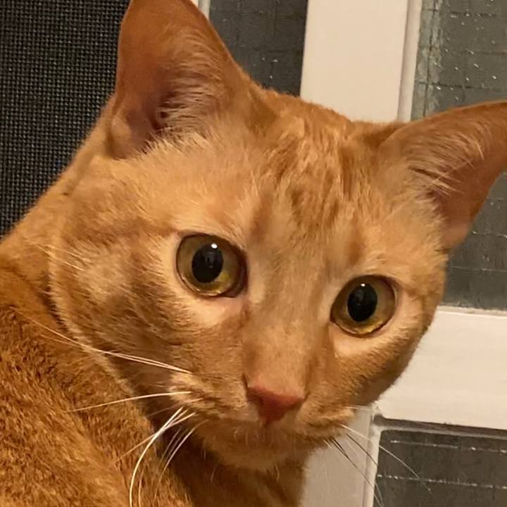 4b8cc334 b622 4280 865b ff6d86cba8bb 1619321575794