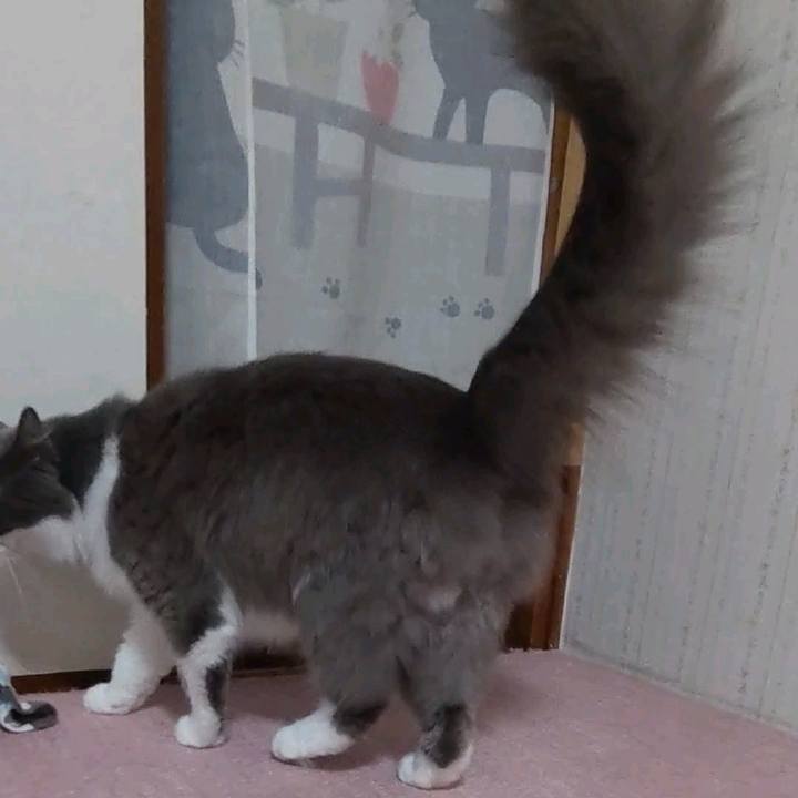 4b8ce860 ddef 45cc 9a1b fd442b88a32c 1663327242742