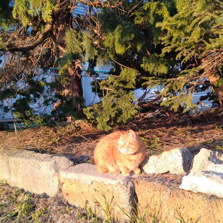 4b8cf6d9 1cac 4e94 9732 5fedfdf4ed28 1743409909756