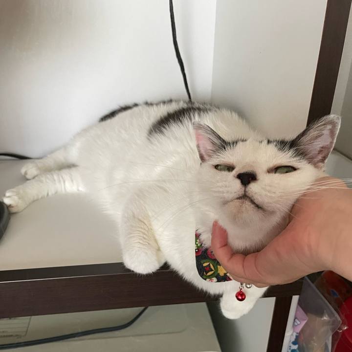 4b8d1a4f 3be3 4a83 8727 de81f7b16eb5 1660102219998