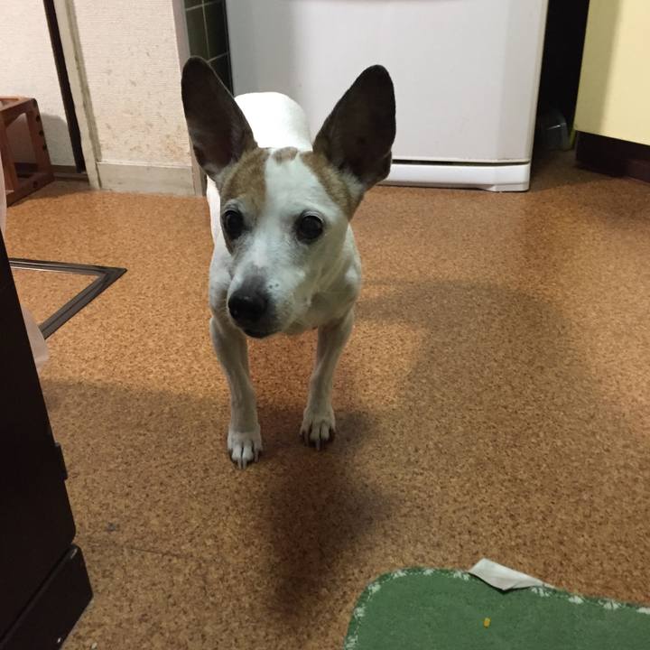 4b8d5d17 1edb 4c8d 97e7 49862408cd23 1522763400137