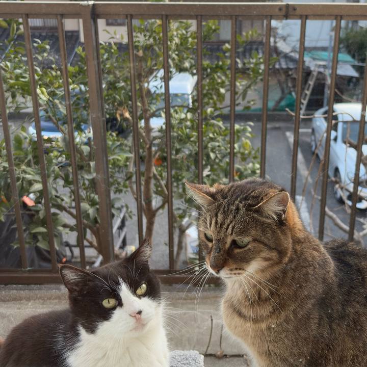 4b8d7dd9 118f 4414 8dc0 06fc8d83c37d 1772352106688