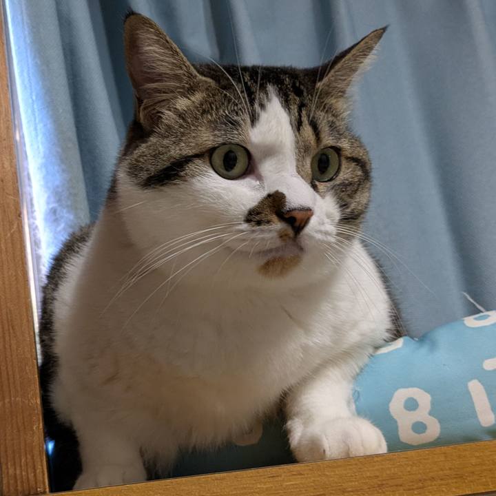 4b8da27e c7d7 4ad8 b6f0 6c89293f8251 1756510741621