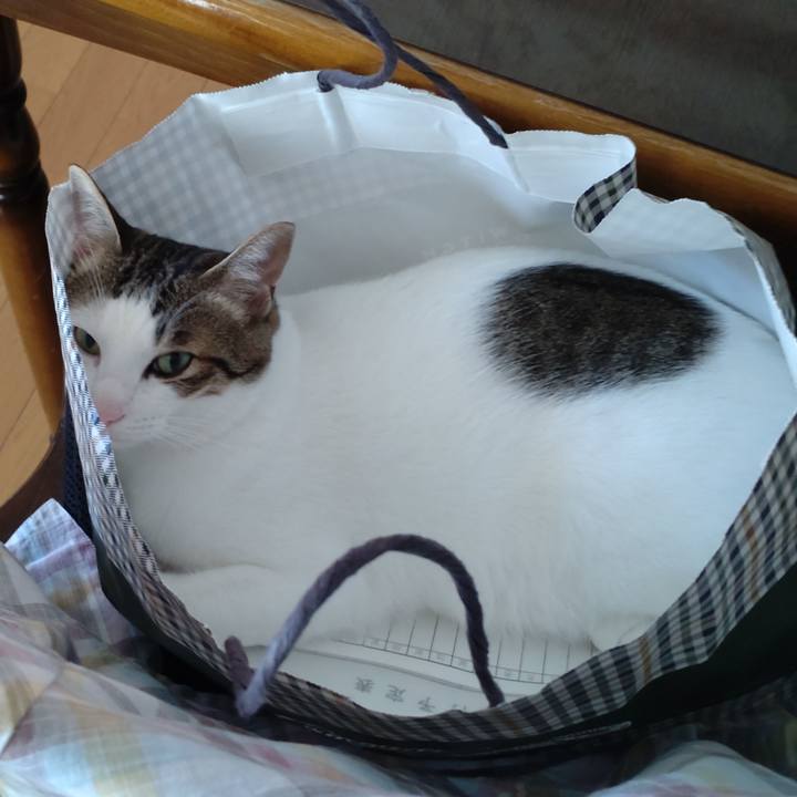 4b8e8a79 beb9 4352 8419 6d72ebc706de 1690463682457