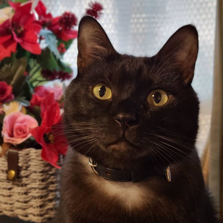 4b8ebb98 1102 416e a0d7 57ead79dc2ab 1640151621095