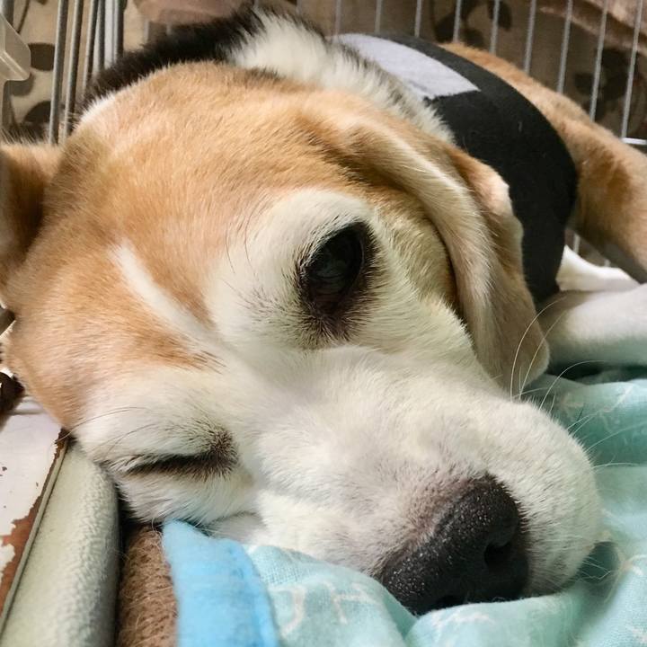 4b8ed1e5 cea5 4c29 9550 1deec3d43f9c 1566100288403