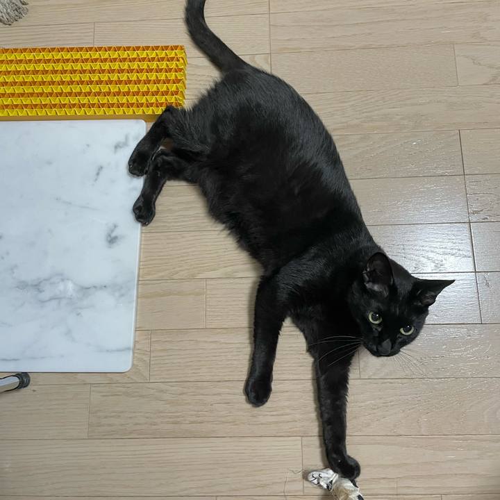 4b8f2957 9810 4208 9111 e31b46dca554 1662126312681