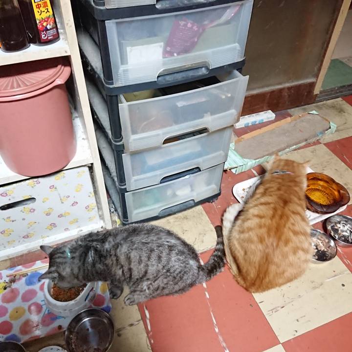 4b8f3a1d 2b49 4838 a583 a44b2be21247 1570308916768