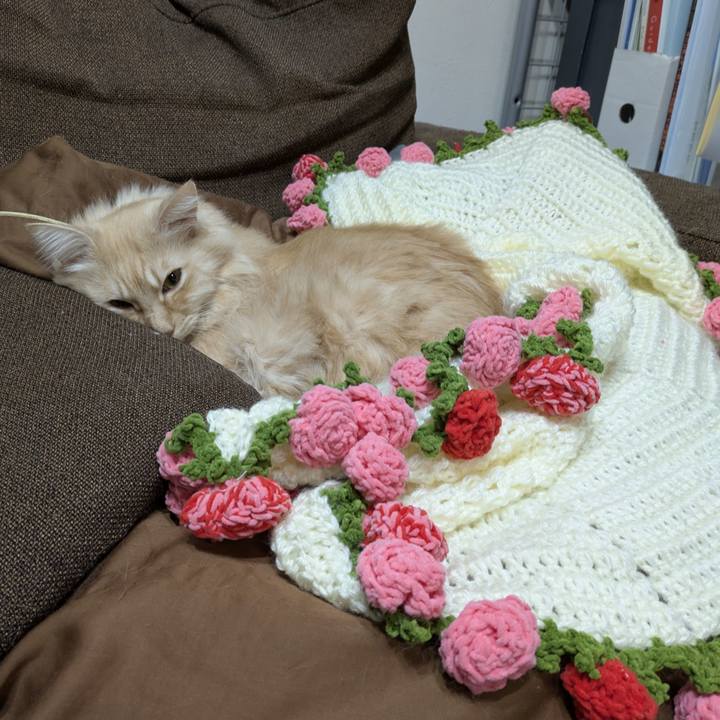 4b8f573f efa0 4ae6 b615 468633590c9b 1763604910252