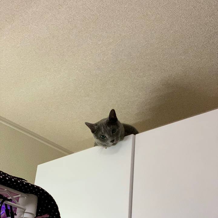 4b8fabfc ed52 4bc5 9d6b 30122b48da24 1655202830688