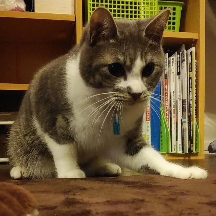 4b8fafee 8090 48b3 87ed f02dce70ddbf 1582553495424