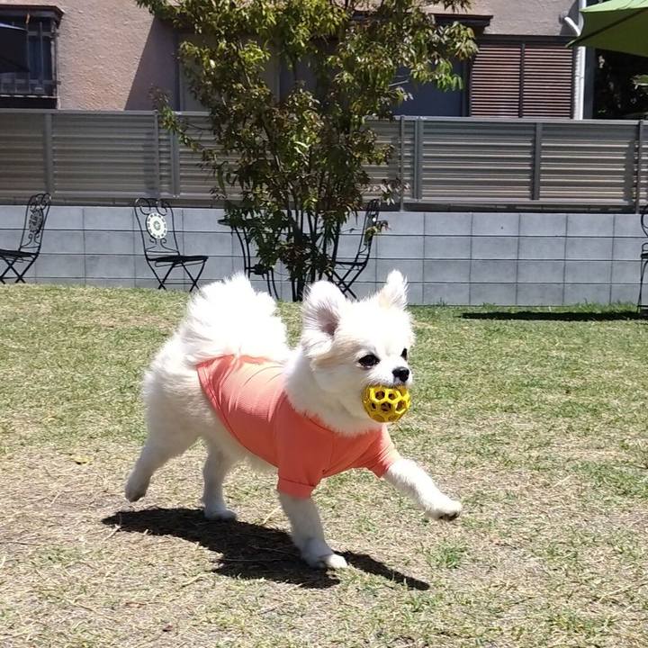 4b8fc695 61f6 4e13 ad43 dae867f79af2 1725793364624