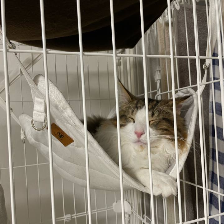 4b8fdb83 044d 44e3 a4c0 462c61c30d2b 1639488971362