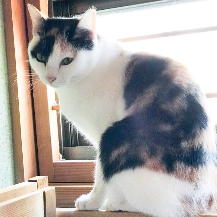 4b9002ac 28a8 40b2 8872 38d792275eee 1513654732957