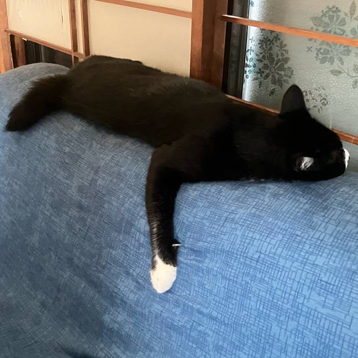 4b9013c8 f5c9 41ea ace2 99974c612969 1725947675009