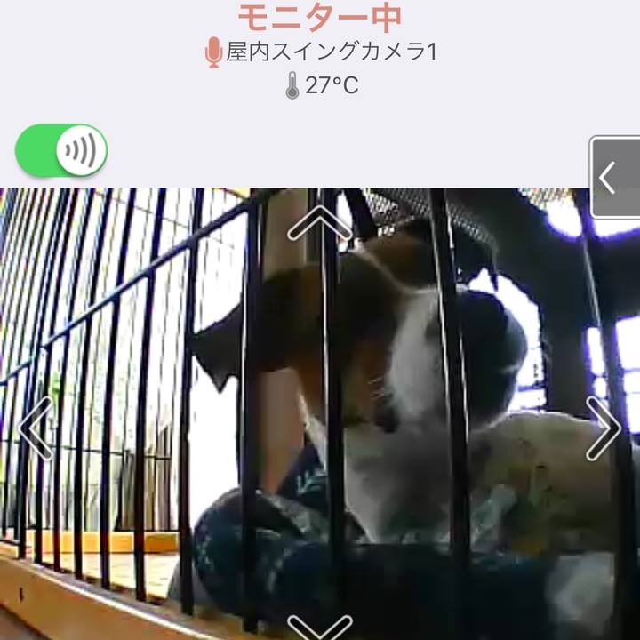 4b901789 eea2 4b6b 8cdd 180c70256414 1564894080436