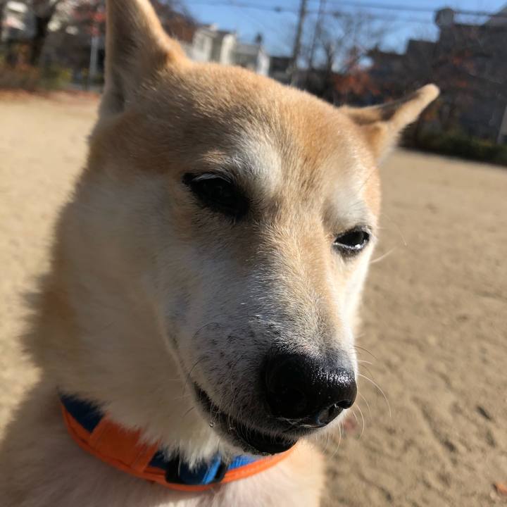 4b90238c 692f 4ea1 9268 856c76e9ed7a 1576473808947