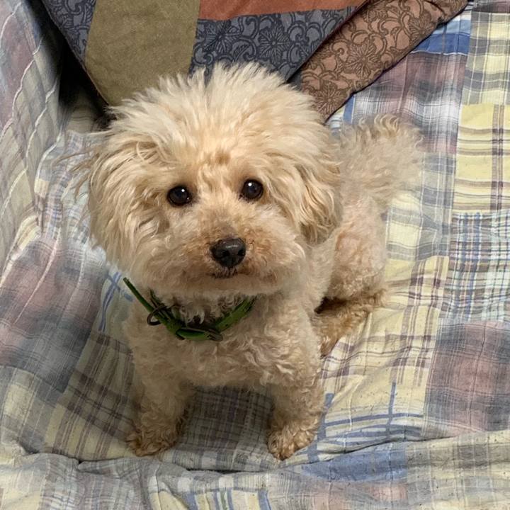 4b903ef9 b0cb 418e b30f 9da3caa59feb 1562884581877