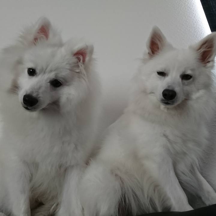 4b903f44 d700 4818 bb82 4f1c816e34a9 1558499171225