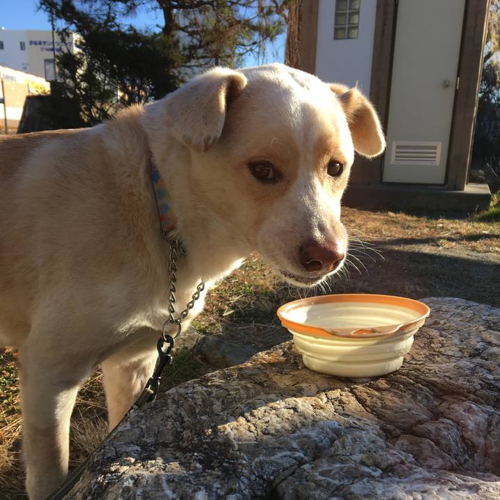 4b908438 72d0 4a1d 9583 3daa63bf85be 1515887970858