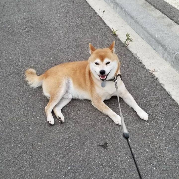 4b90c6f1 5cad 4f96 9a94 43f0046d5d2e 1533717978370