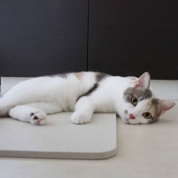 4b90c9ff 1be6 42b0 b390 238e2ef3ea57 1534489006673