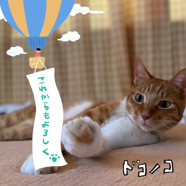 4b90d236 3c64 4c4a ace9 5ad791a5c20d 1685969045103