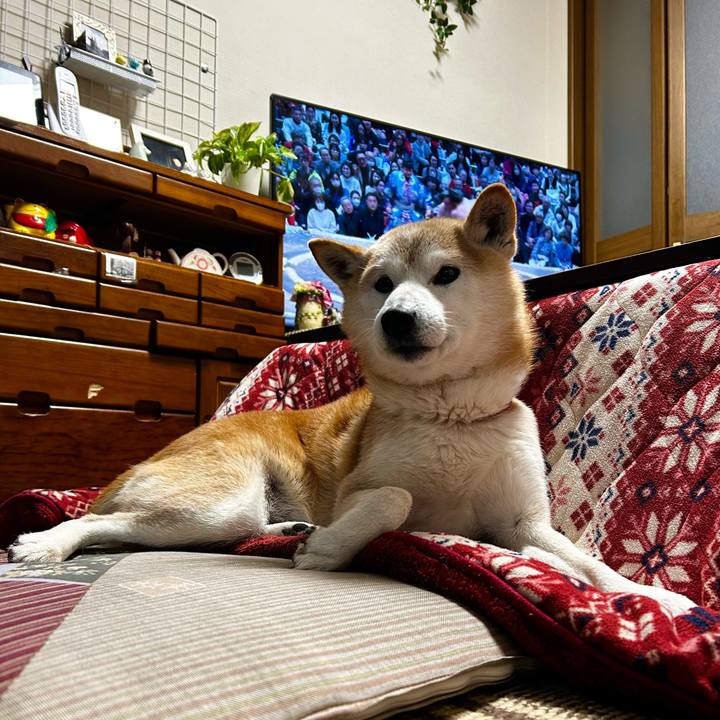 4b90d9b6 3f85 44ce b786 ae5b86959a47 1768475925859