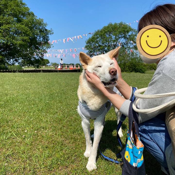 4b912c15 9890 4f9e a41e a7d9fea8098c 1651568853239