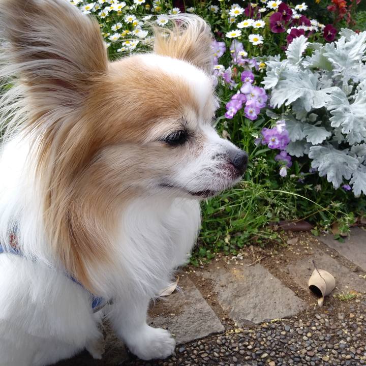 4b914a70 2db1 496d 9129 3a11790e3ccf 1717315070381