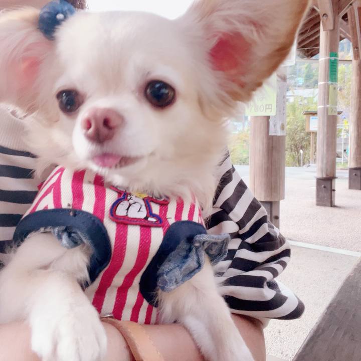 4b9159d3 90f7 4972 ae2a 949842ca357e 1699169673601