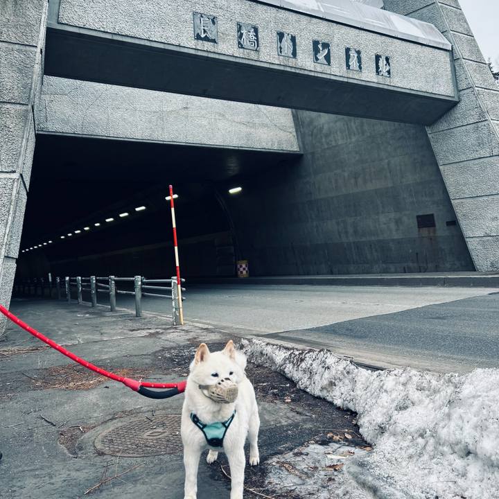 4b915b45 c44a 462e ab81 b84a86f1bcc5 1743288142918