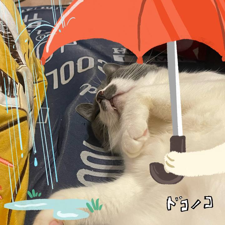 4b91609a f206 4d61 bdbd 83bf315f6721 1749316729887