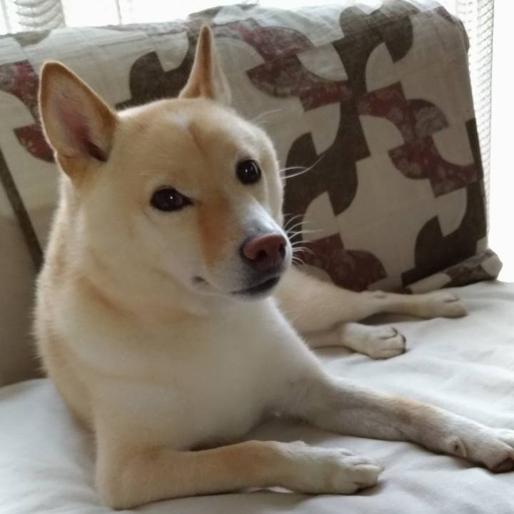 4b919c11 ba36 4974 a1d6 98599615dcd9 1598912476478