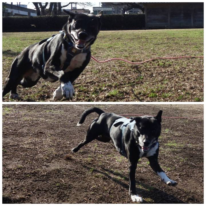 4b91c04b 2f25 4902 8712 22ceeb1a6cfc 1708740064891