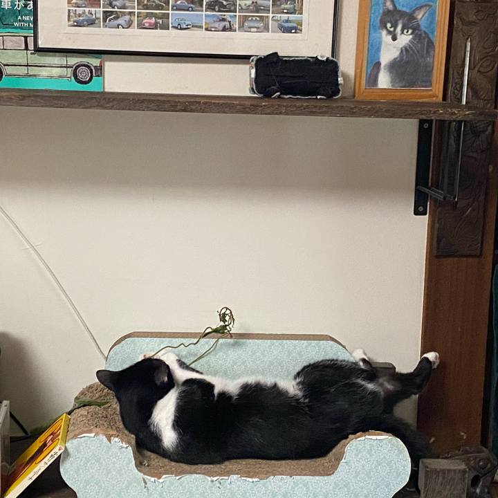 4b91c7f9 0c7d 46b3 854f 67a759043367 1658314171741