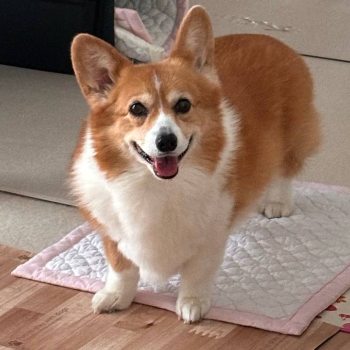 4b91e32a 9001 4454 94bb 1cd2c63e361a 1729652202384