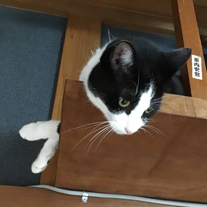 4b92054d 98f0 48de a869 cd8bdcb1718f 1693830833444