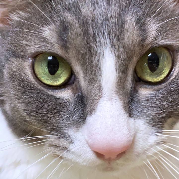 4b922edc ed06 4e2c 901b a80581fd84bf 1632377968666