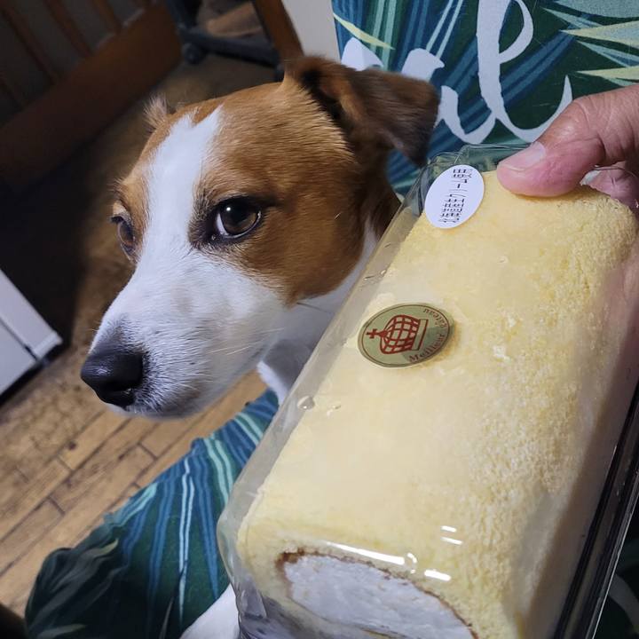 4b923f36 270a 4bbb 9ddb c2a29c150876 1717368705798