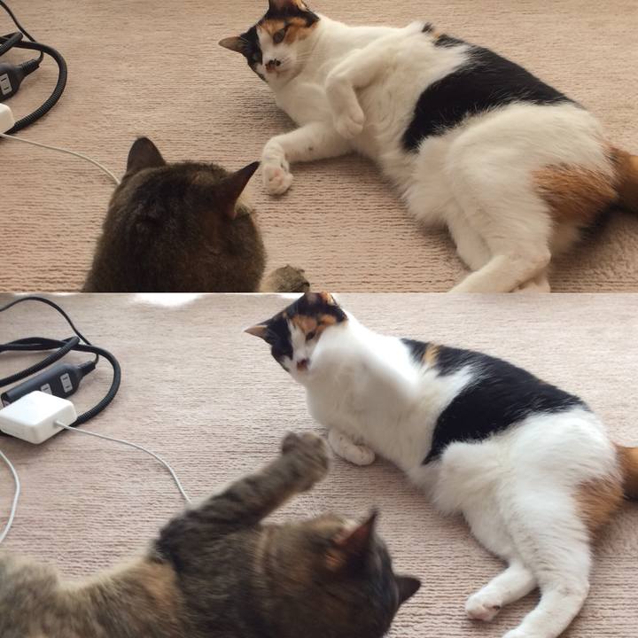 4b92621a 96ff 4db9 9dd9 fa4768c83e5f 1527082261794