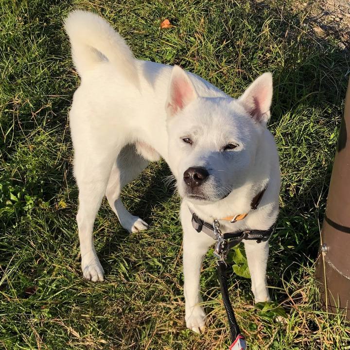 4b92837d 25e5 4579 b3fa abc671356db4 1541504794934